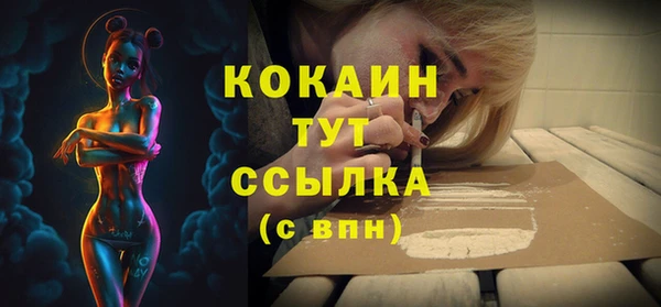 мяу мяу мука Аркадак