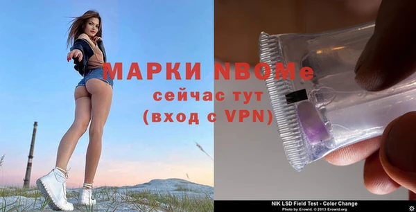 трава Арсеньев