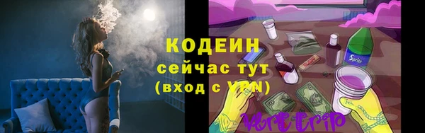 трава Арсеньев